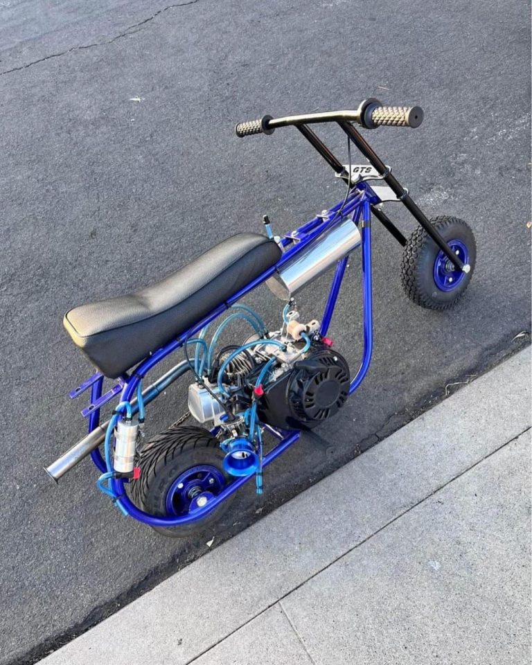 Canday minibike
